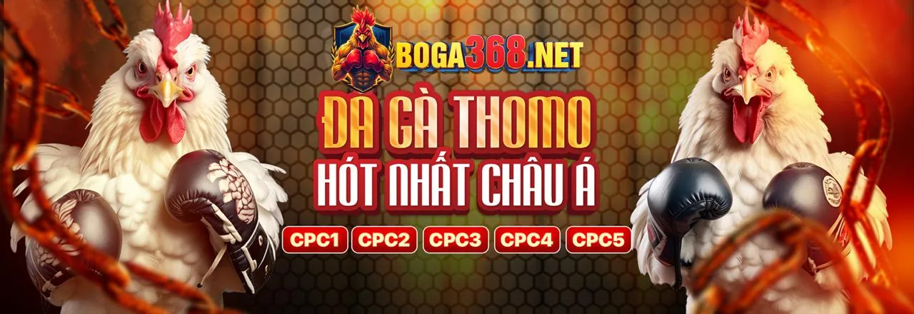 Hình ảnh cá cược thể thao fu88 game với các trận đấu trực tiếp và tỷ lệ cược hấp dẫn